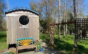 Sapphire Forest Garden Shepherd'S Hut